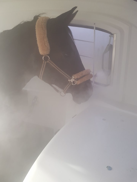 equipment for the Equineb Basic and Pro