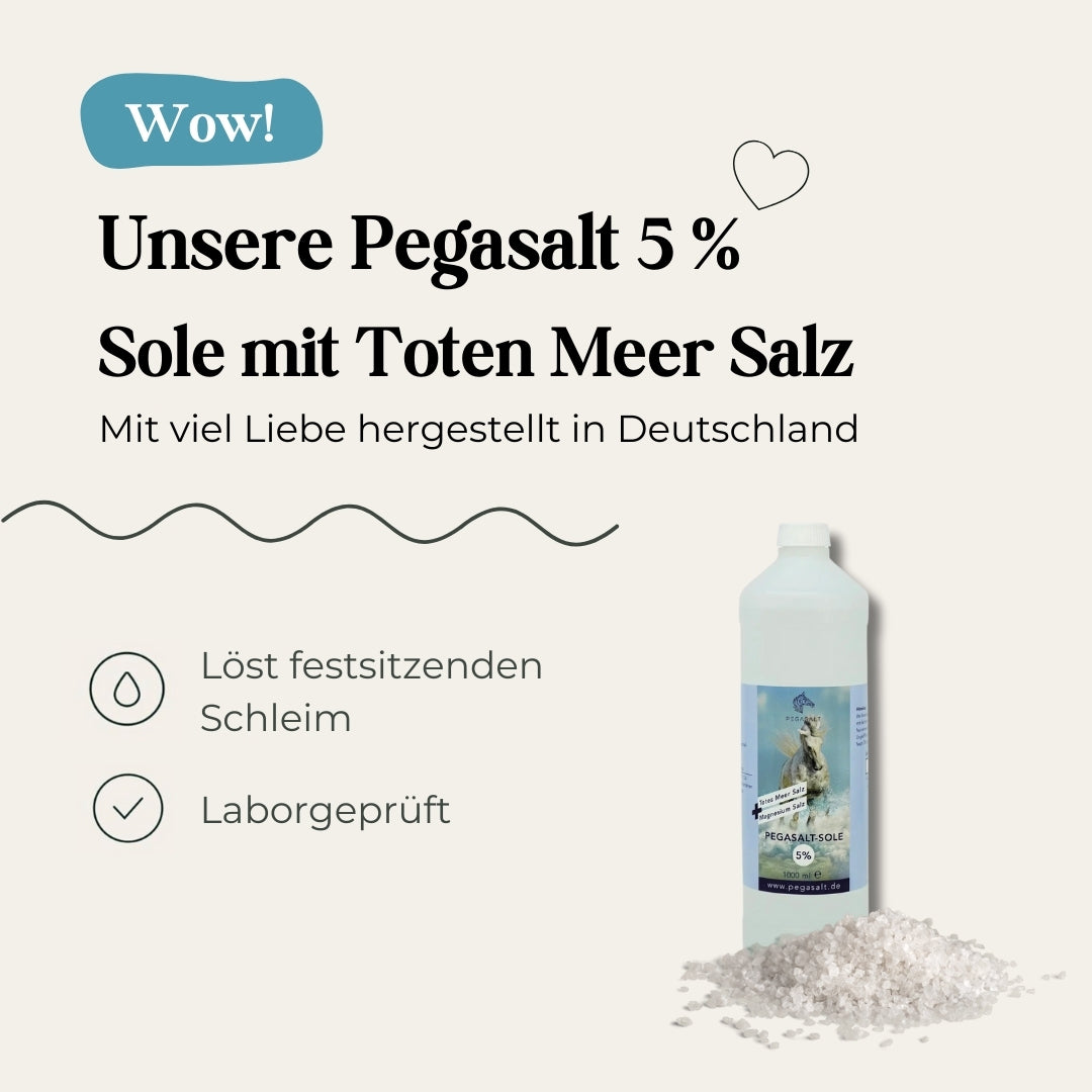 Pegasalt-Sole 5 % mit Salz vom Toten Meer 1000 ml - PEGASALT