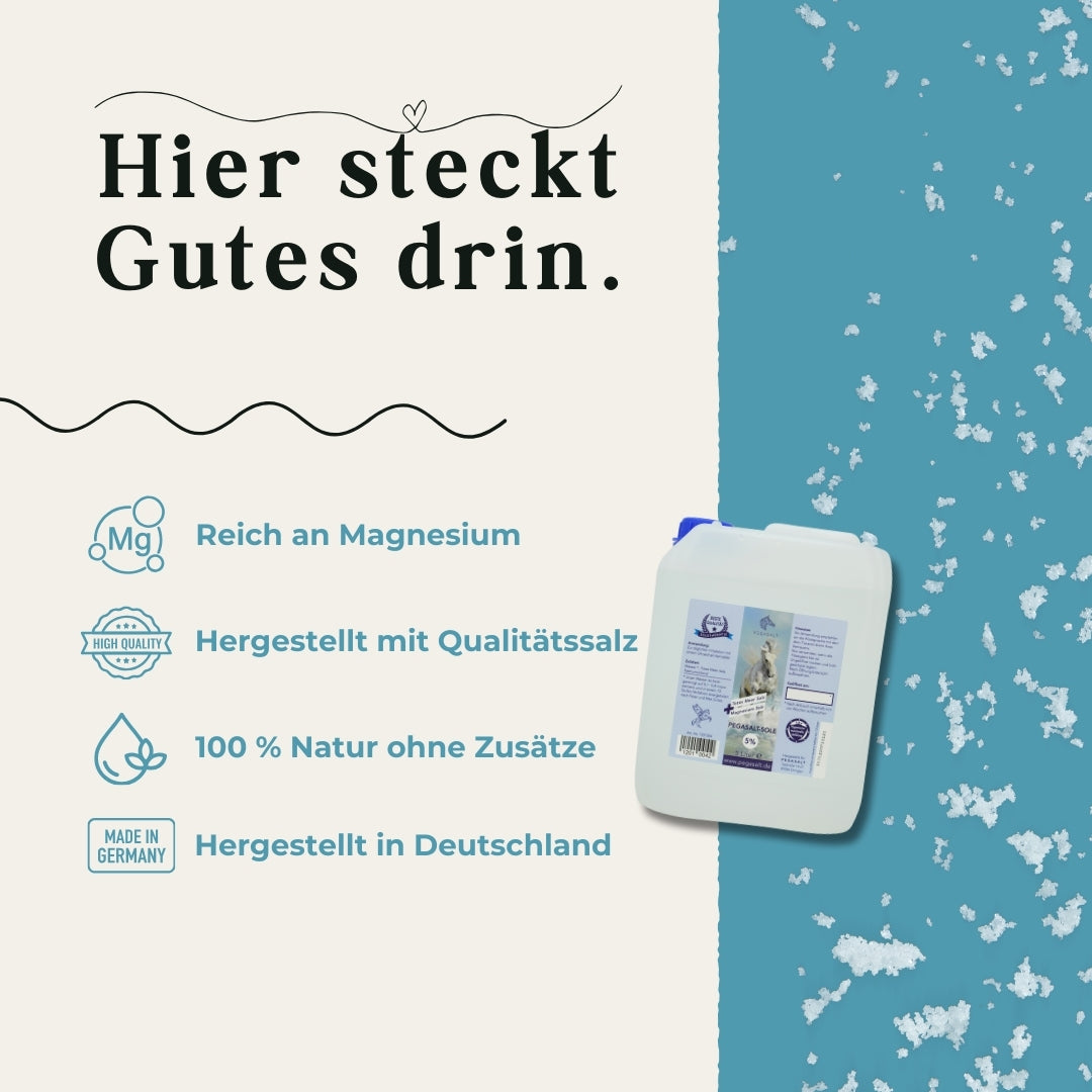 Pegasalt-Sole 5 % mit Salz vom Toten Meer 5000 ml - PEGASALT