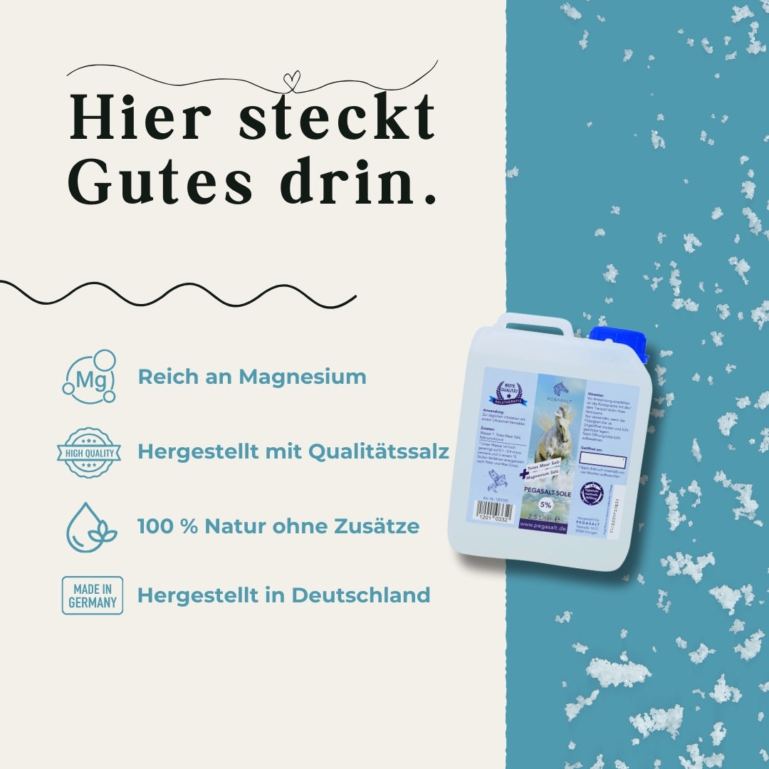 Pegasalt-Sole 5 % mit Salz vom Toten Meer 2500 ml - PEGASALT