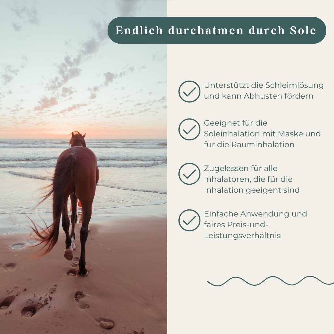 Pegasalt-Sole 5 % mit Salz vom Toten Meer 5000 ml - PEGASALT