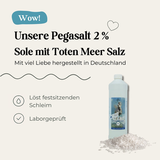 Pegasalt-Sole 2 % mit Salz vom Toten Meer 1000 ml - PEGASALT