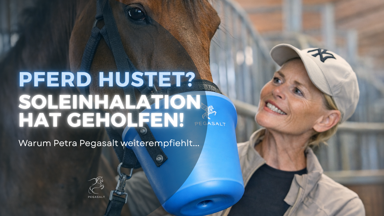 Load video: Erfahrungsbericht zur Soleinhalation wie hilfreich inhalieren bei Pferdehusten ist