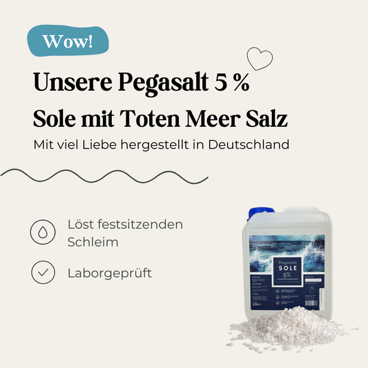 Pegasalt-Sole 5 % mit Salz vom Toten Meer 2500 ml - PEGASALT