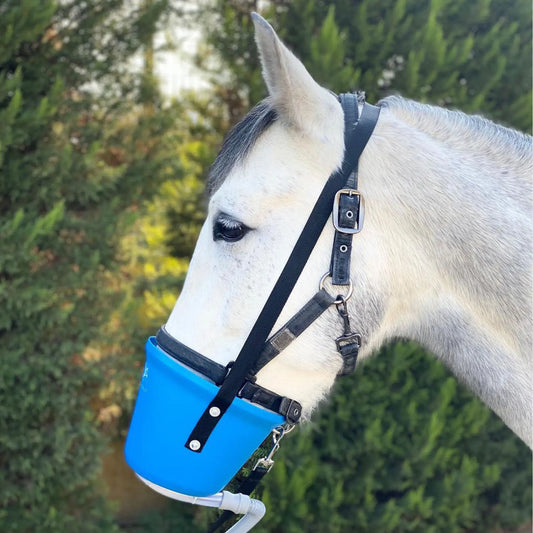 Pegasalt Pferde Inhalationsmaske + Schlauchadapter kaufen | PEGASALT