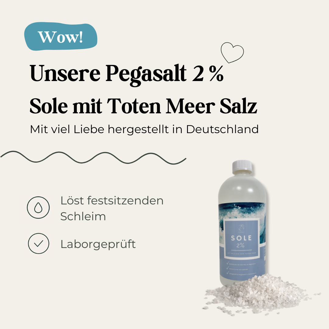 Pegasalt-Sole 2 % mit Salz vom Toten Meer 1000 ml | PEGASALT