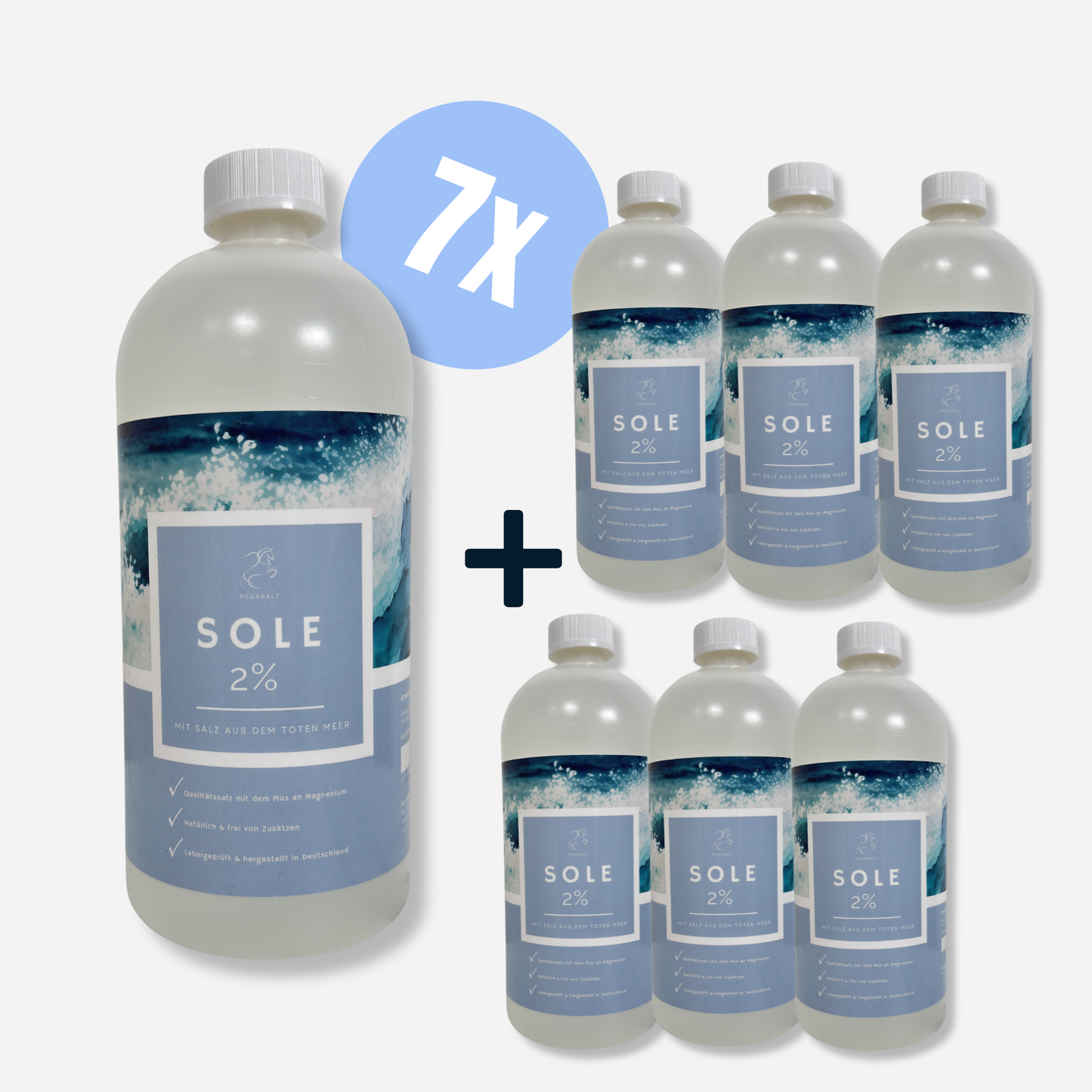 Pegasalt-Sole 2 % mit Salz vom Toten Meer 1000 ml | PEGASALT