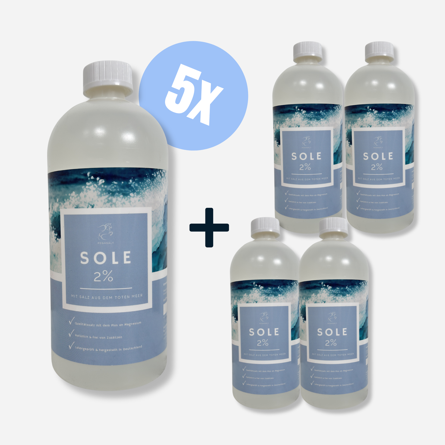 Pegasalt-Sole 2 % mit Salz vom Toten Meer 1000 ml | PEGASALT