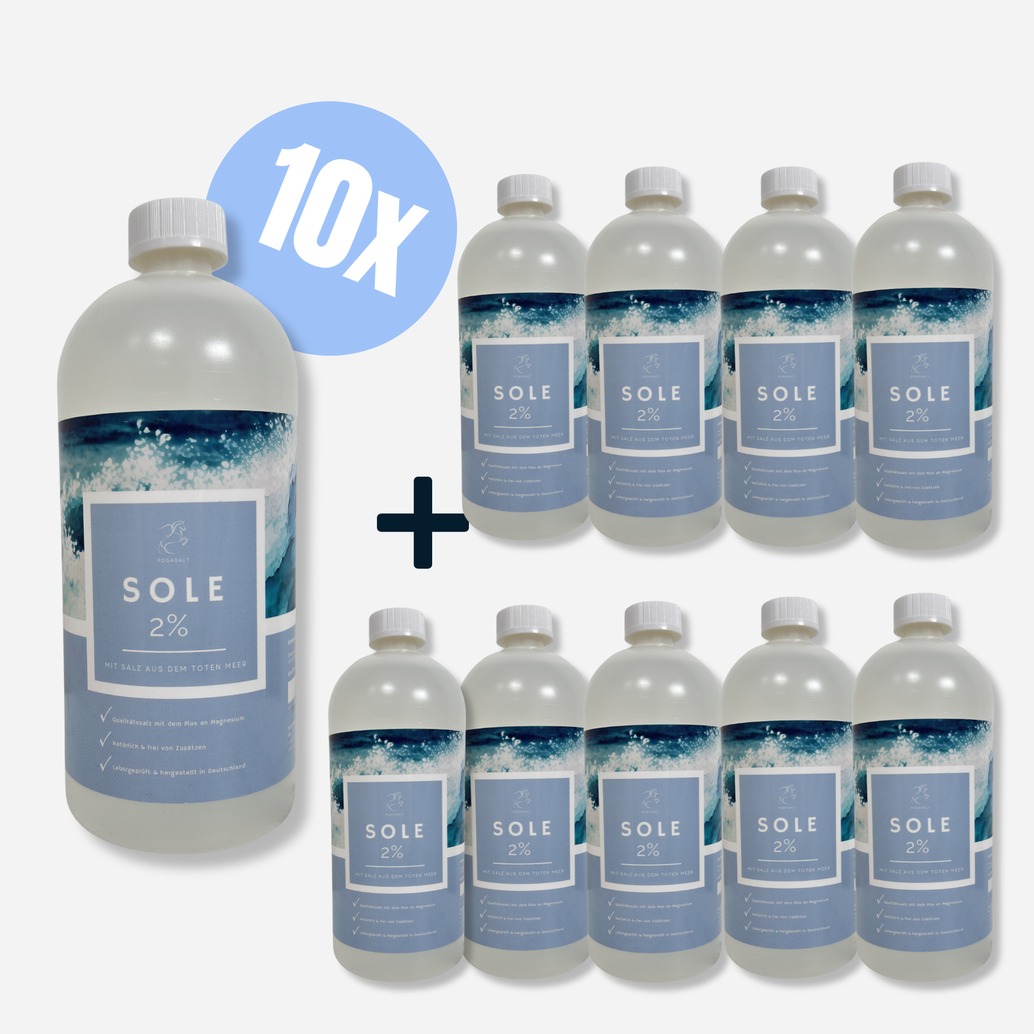 Pegasalt-Sole 2 % mit Salz vom Toten Meer 1000 ml | PEGASALT