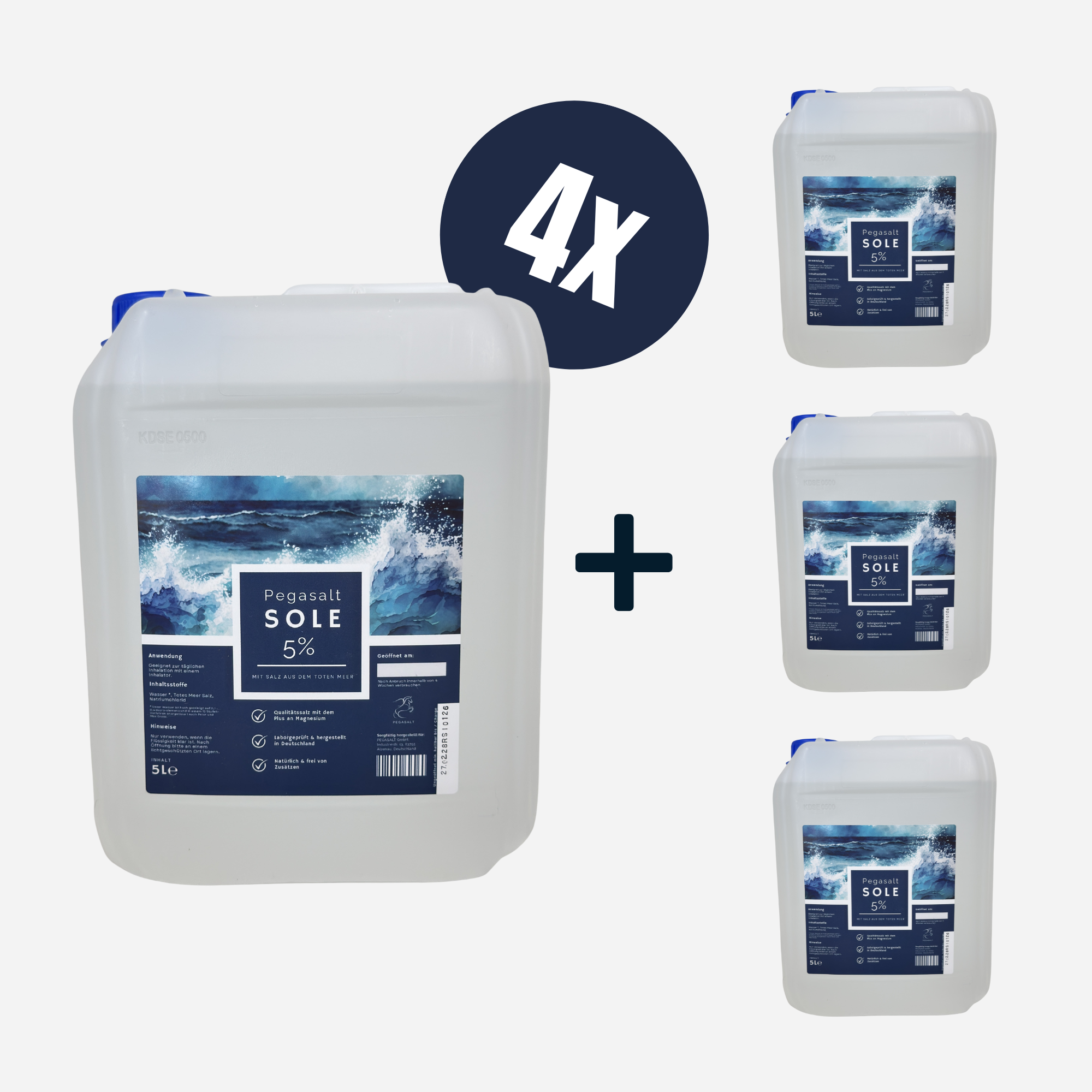 Pegasalt-Sole 5% | mit Salz vom Toten Meer 4 x 5000 ml | PEGASALT