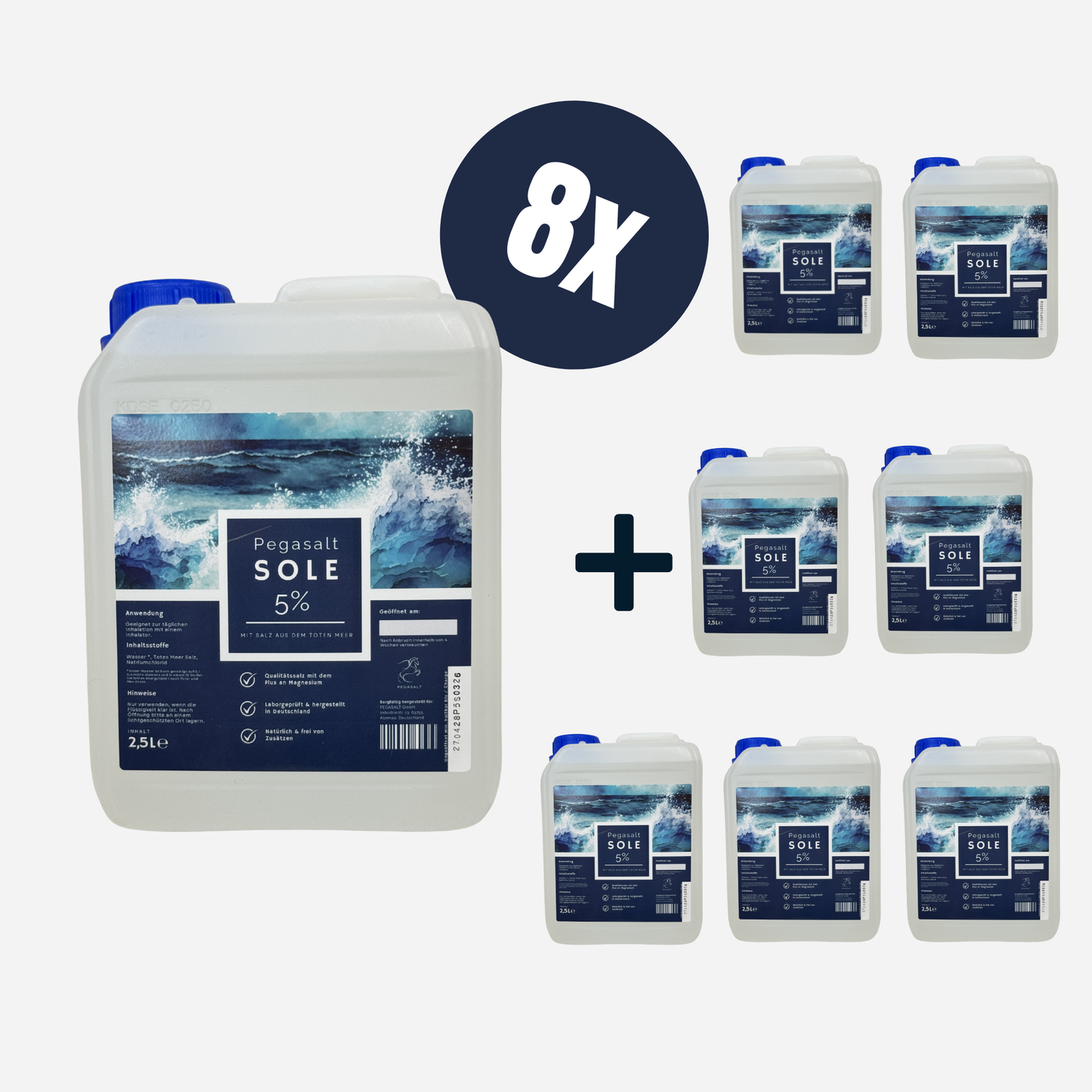 Pegasalt-Sole 5 % mit Salz vom Toten Meer 2500 ml - PEGASALT