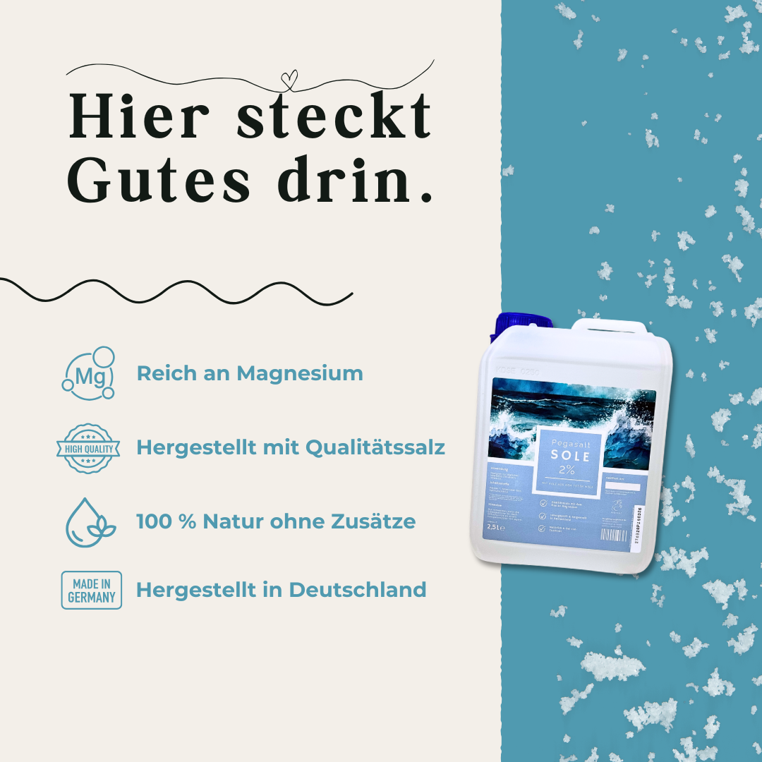 Pegasalt-Sole für Pferde zum Inhalieren | mit Salz vom Toten Meer 1000 ml | 