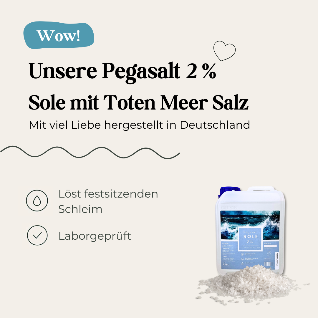 Pegasalt-Sole zum Inhalieren | mit Salz vom Toten Meer 2500ml | 