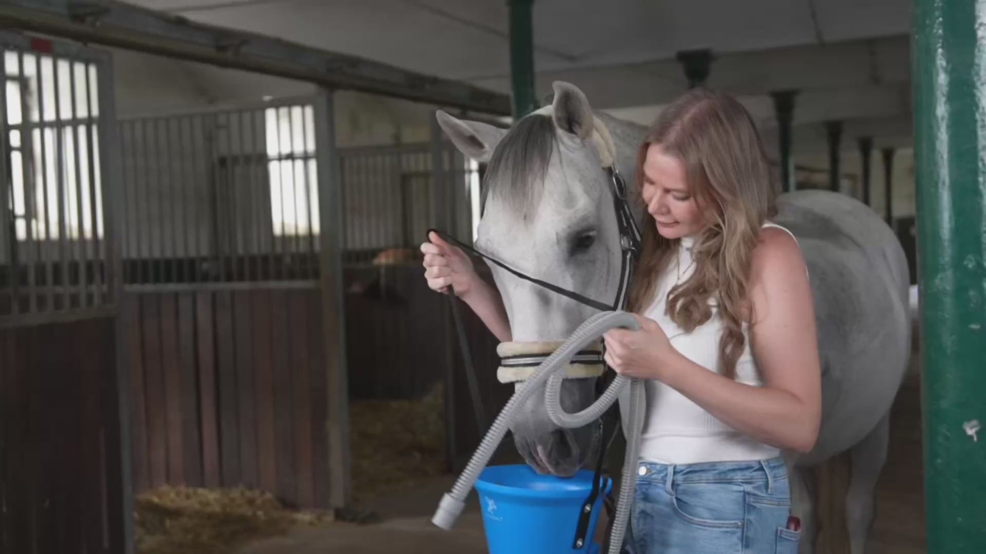 Video Pegasalt Pferd am Sole Inhalieren 