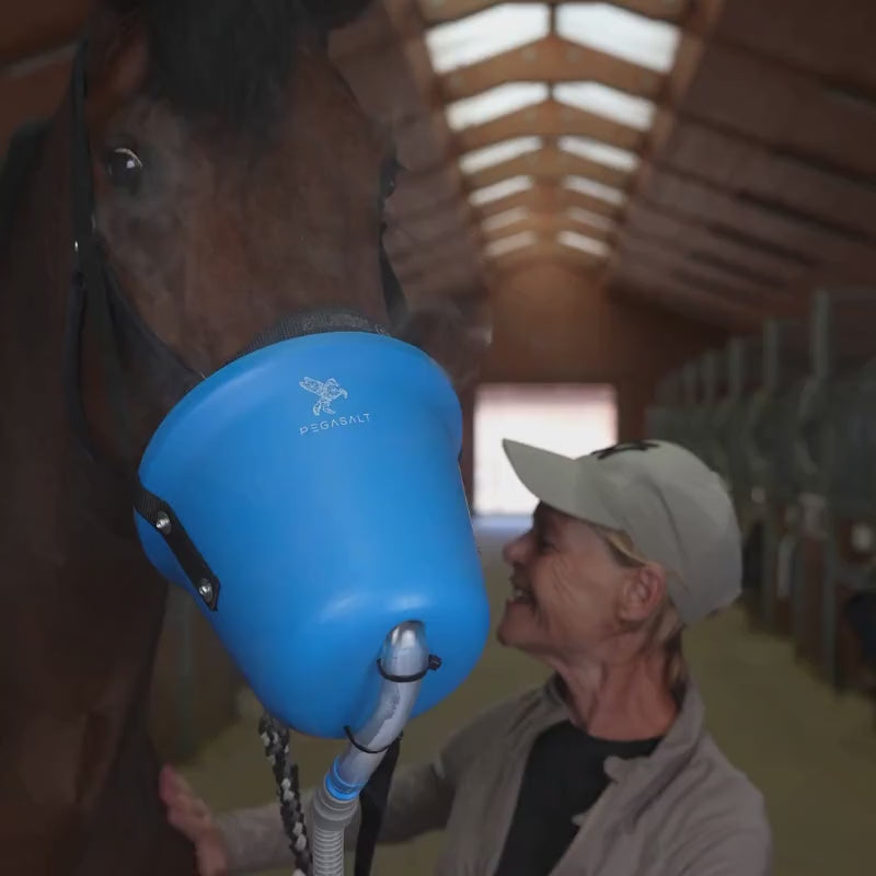 Die Leistung des EquiEasyNeb's | PEGASALT Inhalator in betrieb