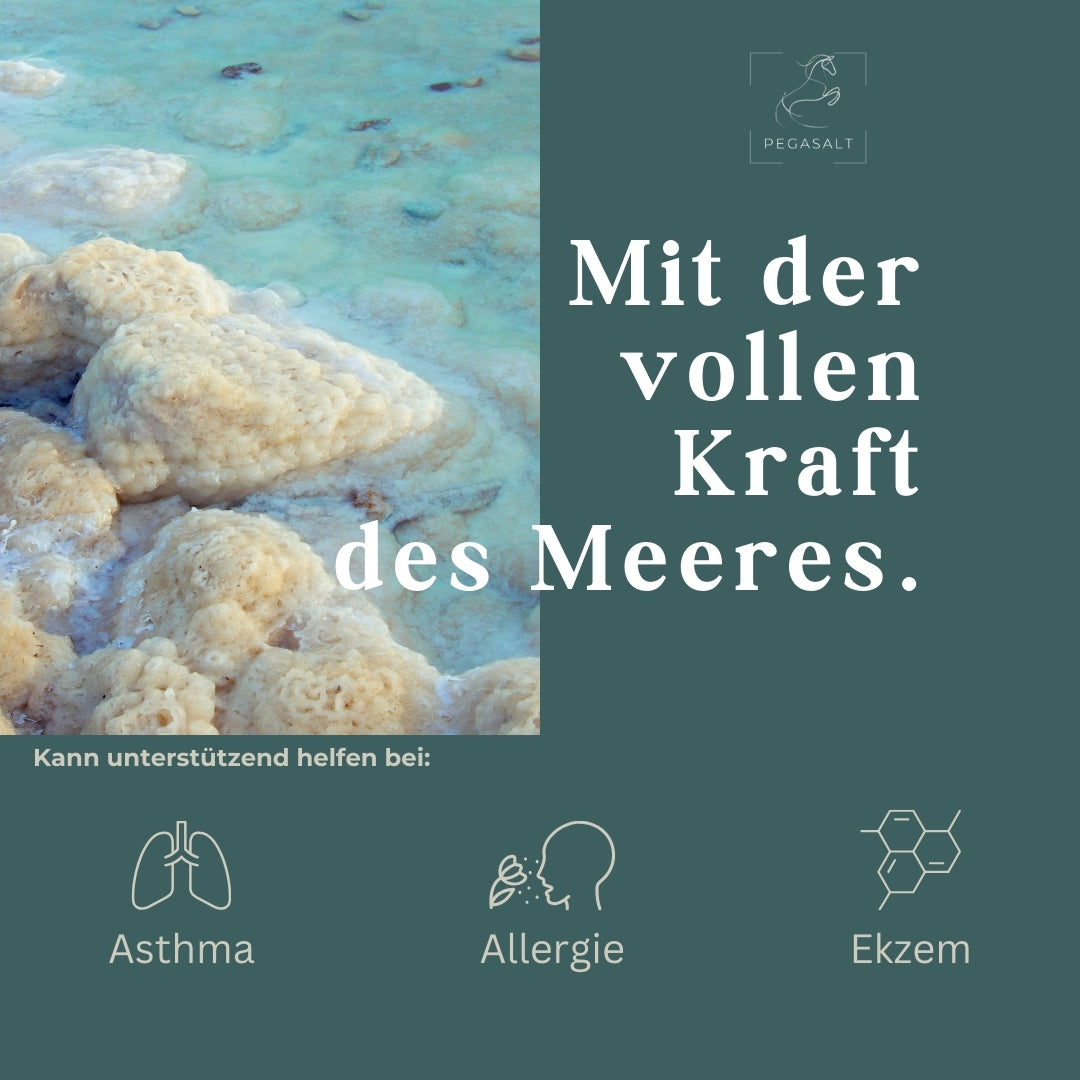 Pegasalt-Sole 2 % mit Salz vom Toten Meer 1000 ml - PEGASALT