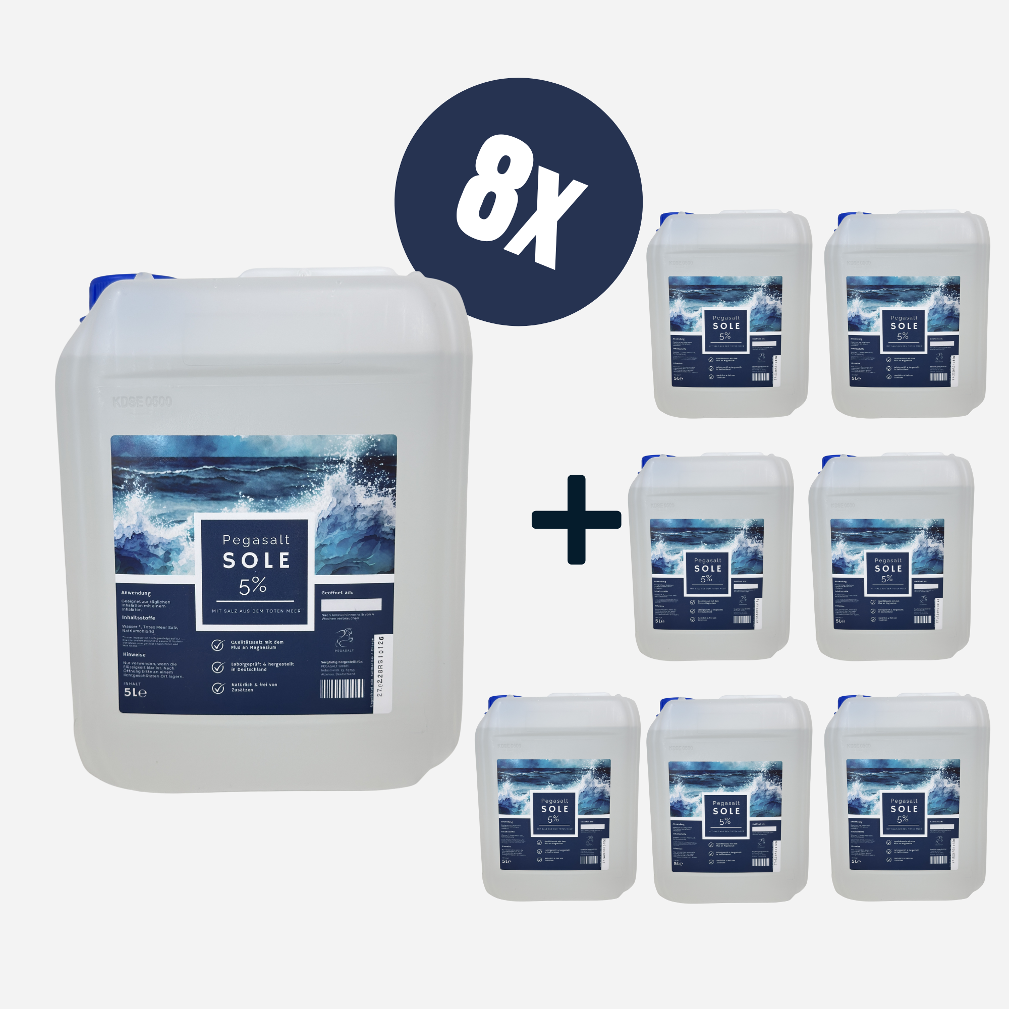 Pegasalt-Sole 5% | mit Salz vom Toten Meer 8 x 5000 ml | PEGASALT
